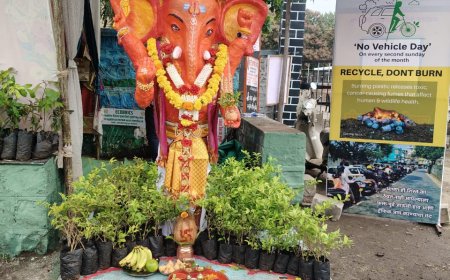 आमचं ग्रीन लातूर वृक्ष फॉउंडेशन